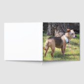 Lily Gastenboek (Volledig)