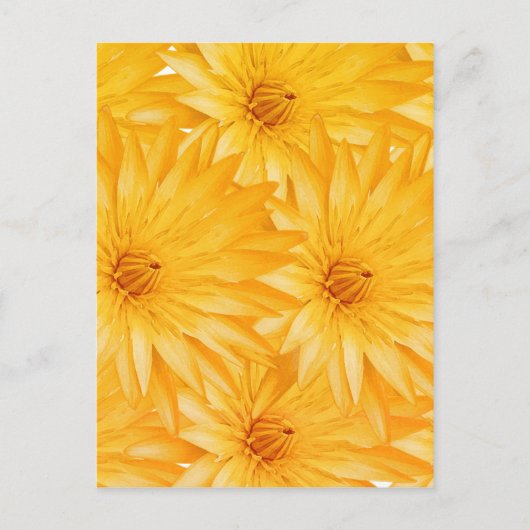 Lily gele klas briefkaart (Voorkant)