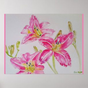  Lily in roze Waterverf schilderend Poster