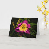 Lily, kaart (Gele Bloem)