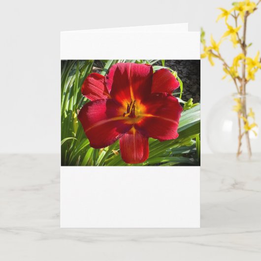 Lily, kaart (Gele Bloem)