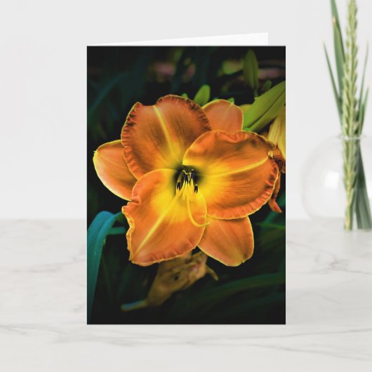 Lily, kaart (Voorkant)