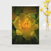 Lily, kaart (Gele Bloem)