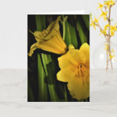 Lily, kaart (Gele Bloem)