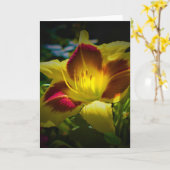 Lily, kaart (Gele Bloem)