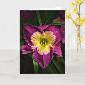 Lily & Ladybug, carte (Fleur jaune)