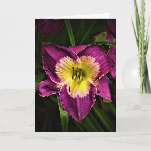 Lily & Ladybug, kaart (Voorkant)