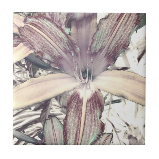 Lily Love Tegeltje (Voorkant)