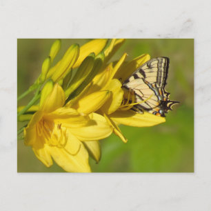 Lily Lover - Butterfly Briefkaart