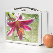Lily Lunchbox (En situation)