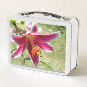 Lily Lunchbox (Dos)