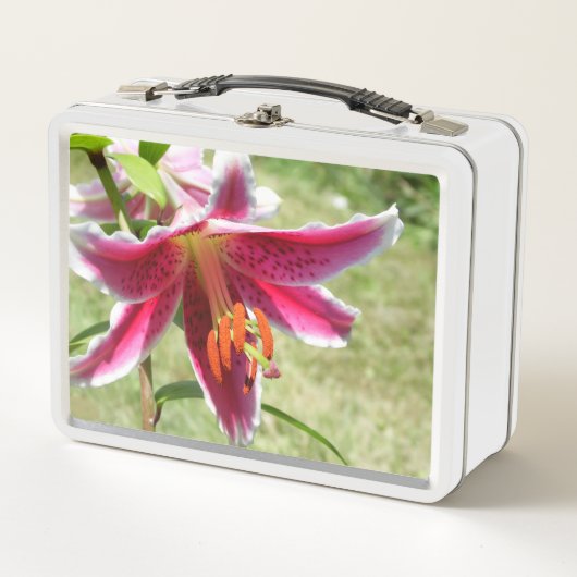 Lily Lunchbox (Devant)