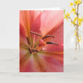 Lily Macro Kaart (Gele Bloem)