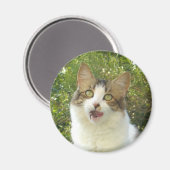 Lily Magnet 001 (Recto/Verso)