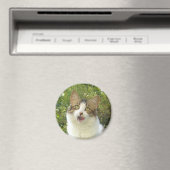 Lily Magnet 001 (In Situ (Lave-vaisselle))