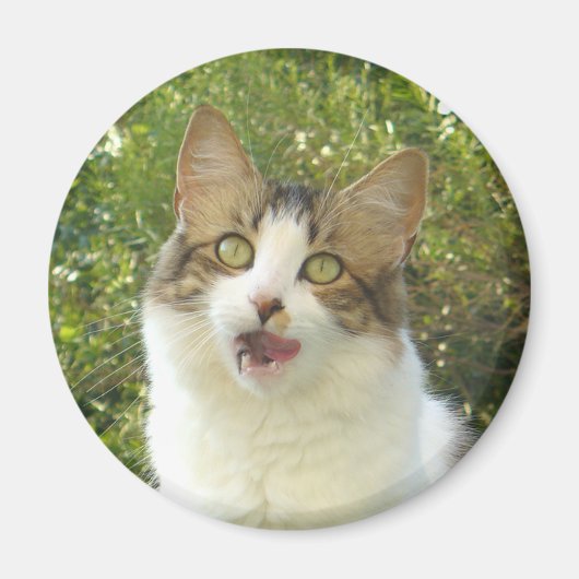 Lily Magnet 001 (Devant)