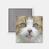 Lily Magnet 003 (Recto/Verso)