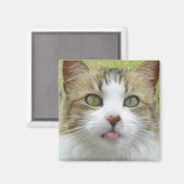 Lily Magnet 004 (Recto/Verso)