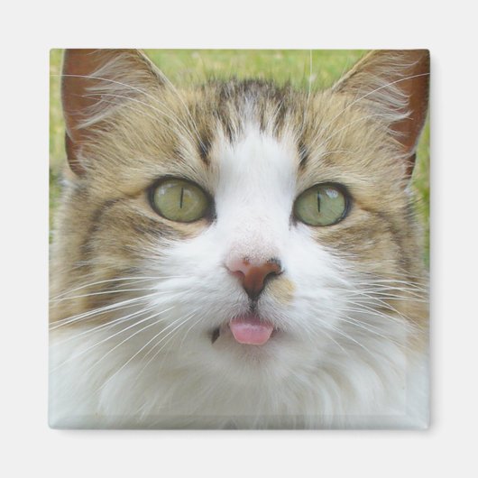 Lily Magnet 004 (Devant)