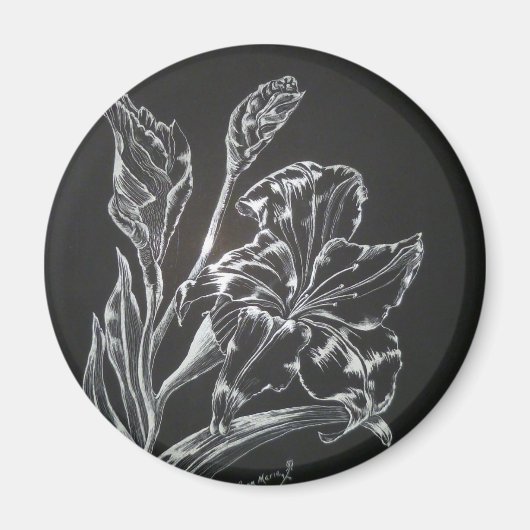 Lily Magnet Magneet (Voorkant)