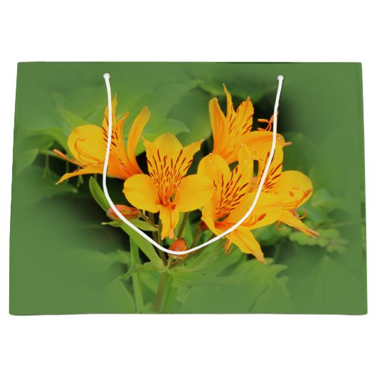 Lily of the Incas/Yellow Alstroemeria Large Cadeauzakje (Voorkant)
