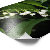 Lily of the Valley 5x7 Photographie Impression (Coin)