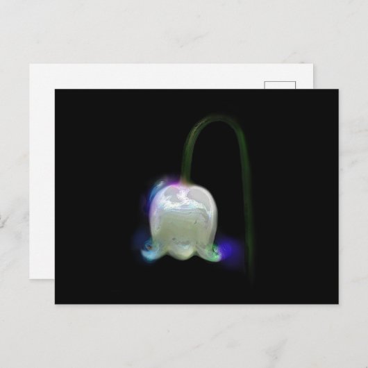 LILY OF THE VALLEY BRIEFKAART (Voorkant / Achterkant)