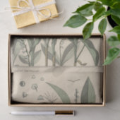 Lily of the Valley, Eugene Grasset's Botany Series Tissuepapier (Geschenk)