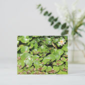 Lily Pad # 1 Briefkaart (Staand voorkant)
