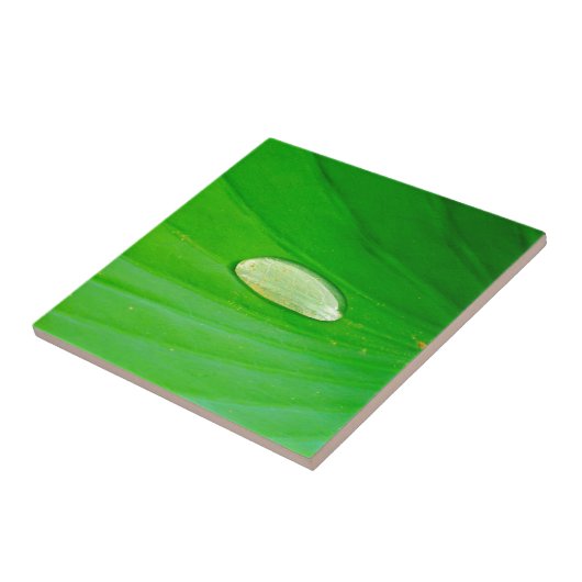 Lily Pad Ceramic Tile Tegeltje (Zijkant)