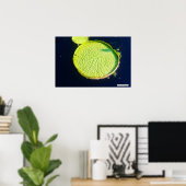 Lily Pad (Chicago) - Affiche (Bureau à domicile)