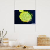 Lily Pad (Chicago) - Affiche (Cuisine)