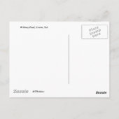 Lily Pad Cove op Whitney Pond Briefkaart (Achterkant)