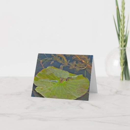 Lily Pad & Damselfly Note Kaart (Voorkant)
