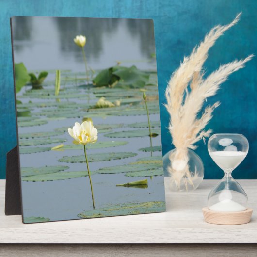 Lily Pad Fotoplaat (Zijkant)