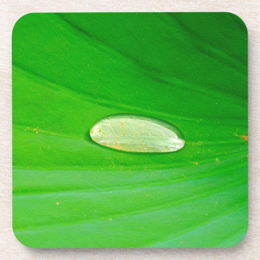 Lily Pad Hard Plastic Coaster Bier Onderzetter (Voorkant)