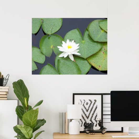 Lily Pad Poster (Thuiskantoor)