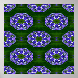 Lily pad sterren.... poster