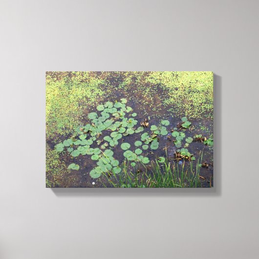 Lily Pad sur toile (Recto)