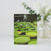 Lily Pads Briefkaart (Staand voorkant)