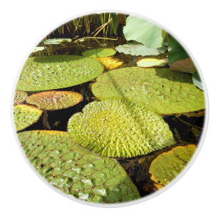 Lily Pads Ceramic Knob Keramische Knop