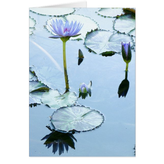 Lily Pads en Lotus Card (Voorkant)