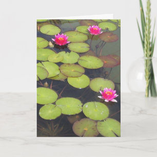 Lily Pads en Lotus Zen Birthday Card Kaart