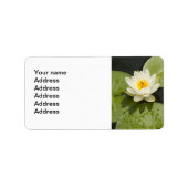 Lily Pads en witte Lotus Bloem Etiket (Voorkant)