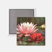 Lily Pads - Magnet (Recto/Verso)