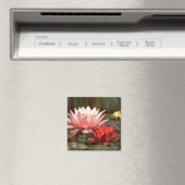 Lily Pads - Magnet (In Situ (Lave-vaisselle))