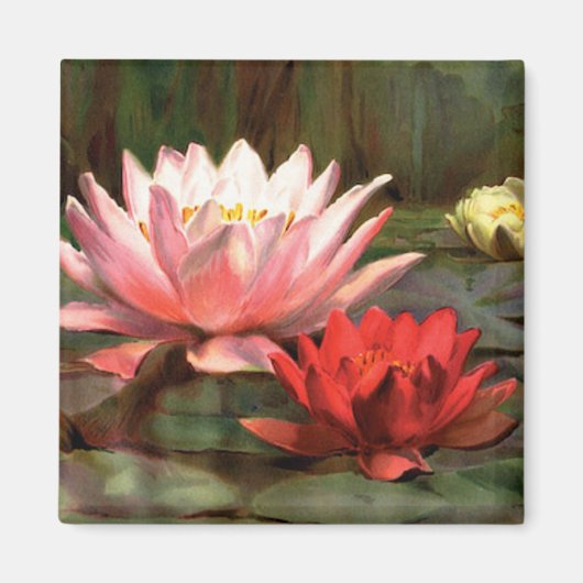 Lily Pads - Magnet (Devant)