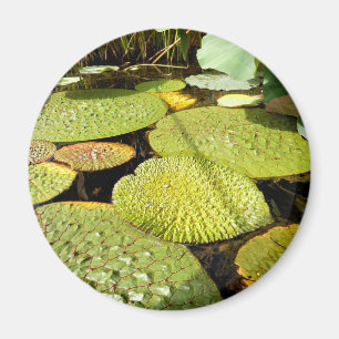 Lily Pads Magnet Magneet