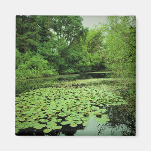 Lily Pads op de Pond Magneet