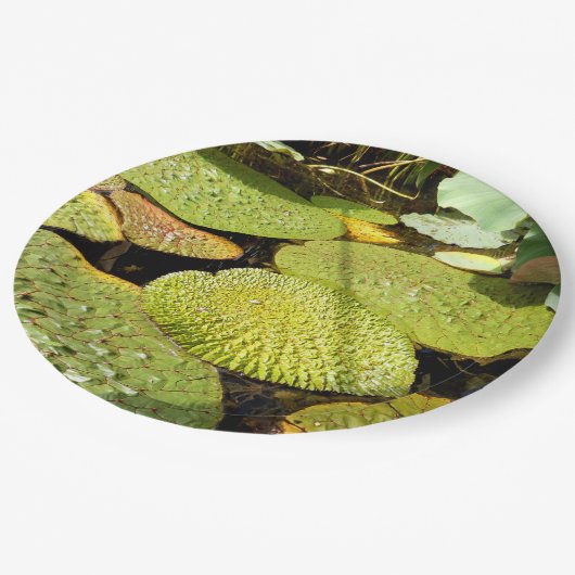 Lily Pads Paper Bord (Gekanteld)
